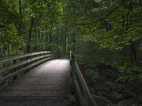 Sharon Woods Bridge