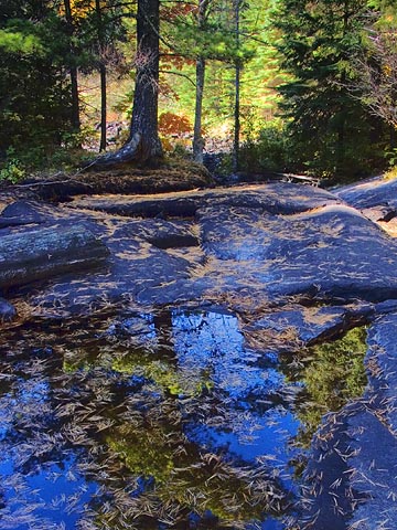 Tower Trail Pool 5869