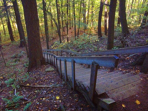 Tower Trail Stairs 5888