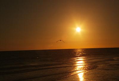 Sunset over Sea of Cortez '03