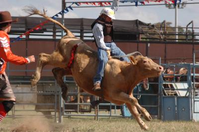 maitland show rodeo #3