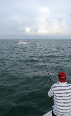 duane 160lb tarpon jumping 1 06-05-04.jpg