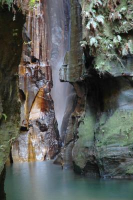 DSC_2306-2_DCE.jpg