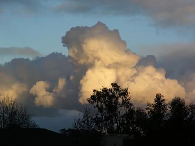 Giant Puff of Cloud