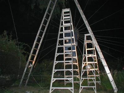 These ladders are 8, 12  and 20 feet high...