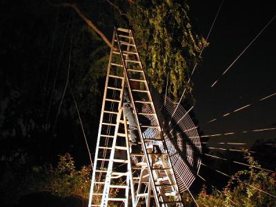 Don has to move the ladders often as the web gets larger...