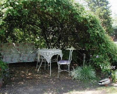 Visitor under the Rose Bower...