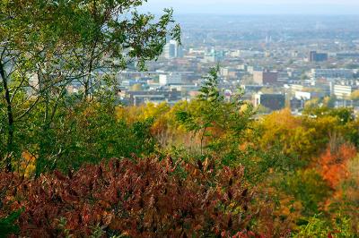 _MG_0283.jpg