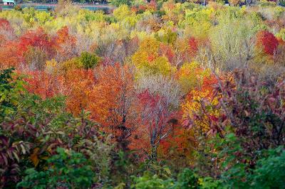 _MG_0298.jpg