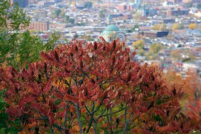 _MG_0299.jpg