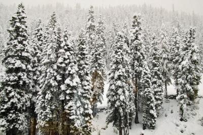 After 2 days of Winter storm, view from our room's window