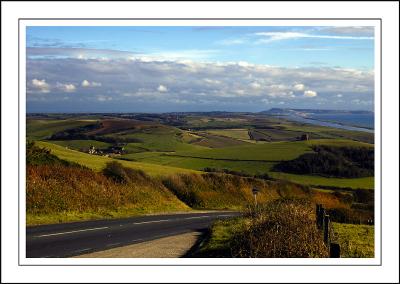 Going down to Abbotsbury