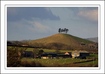 Farm, hill, and trees ~ west of West Bay, Dorset