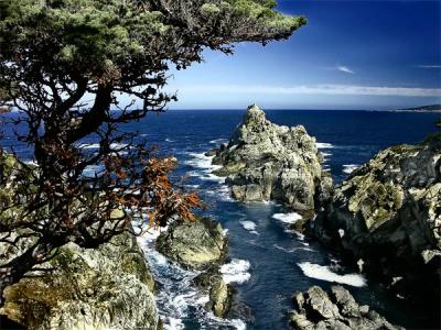 Sea & Rocks, Point Lobos