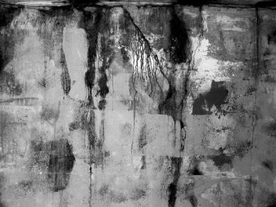 Splotches