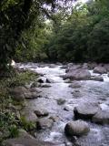 Mossman Gorge