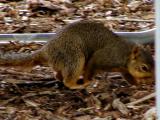 Enjoying a snack at the zoo.jpg(130)