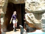 Sea Lion trainer.jpg(292)