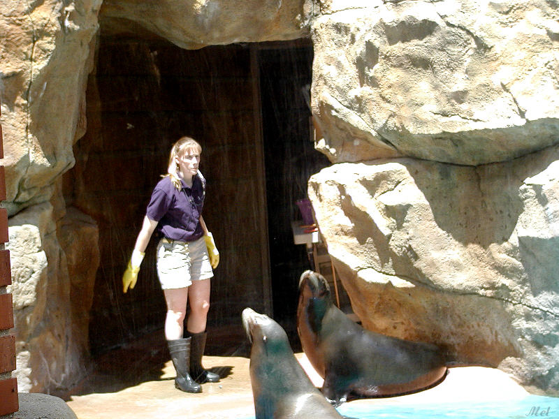 Sea Lion trainer.jpg(292)
