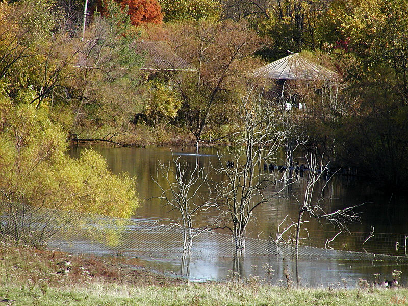 A view from across the prairie.jpg(544)