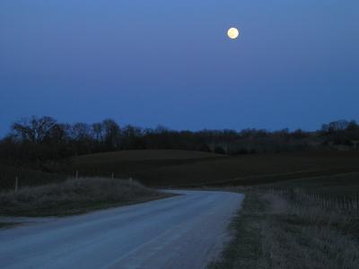 Moonlit Road