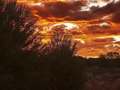 Sunset Near Kata Tjuta by M. Scott Cole