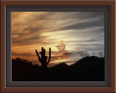 Desperado Visions by Robert Land