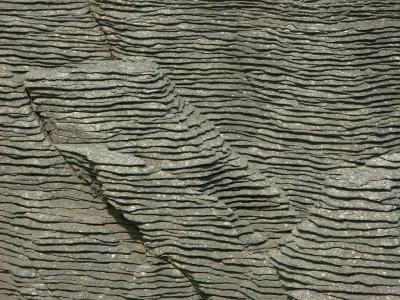 FingerPrint by Roger Wilmot