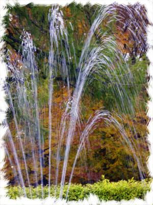 u46/mtf_foto_studies/medium/35379327.PICT2538.jpg