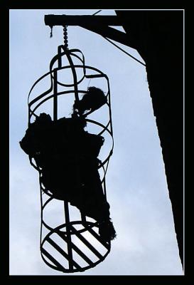 u46/mtf_foto_studies/medium/39904063.Caged.jpg