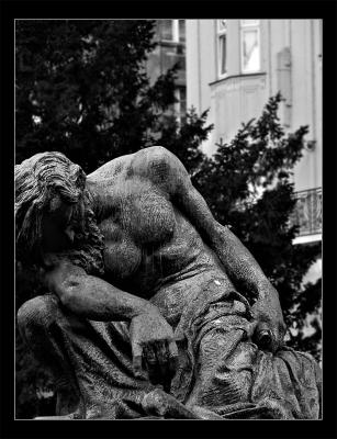 u46/mtf_foto_studies/medium/39905369.TiredBorder.jpg