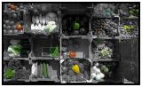 + Market day * by Paul