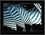 C17 Comp Gallery header
