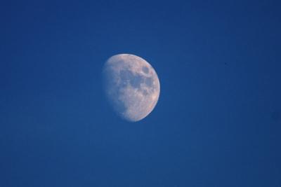 Daylite Gibbous Moon
