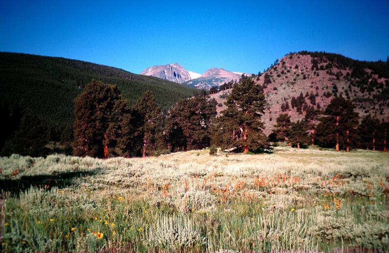 Rocky Mountain.Colorado