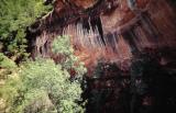 Zion.Utah