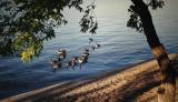 Lake Okanagan.British Columbia