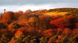 1st November, Oyne