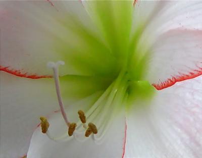 filtered_center-crop-level- DSC02421.JPG