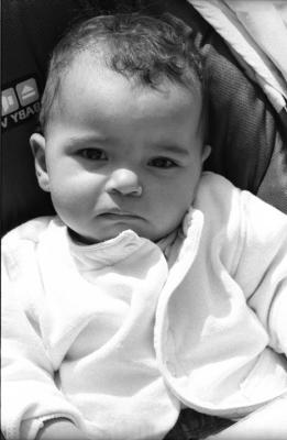 Louma