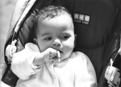 Louma May04-7.jpg