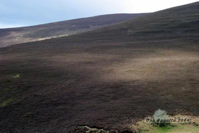 121_Scenery_South_of_Clonmel.jpg