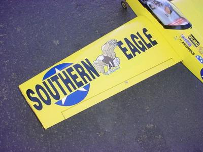 Southern Eagle