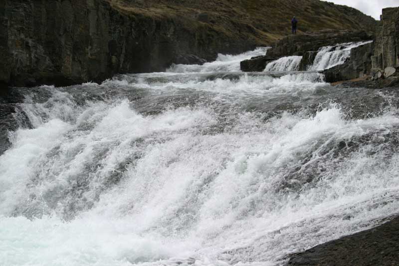 the unbelievable rapid WC