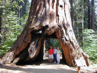 Mom, Carol  and Da Boys - Arnold, CA