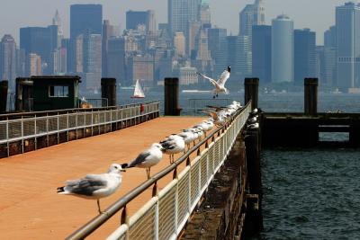 New York Liberty Island