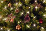 <b>Holiday Lights</b><br><font size=2>by Tim Lauro