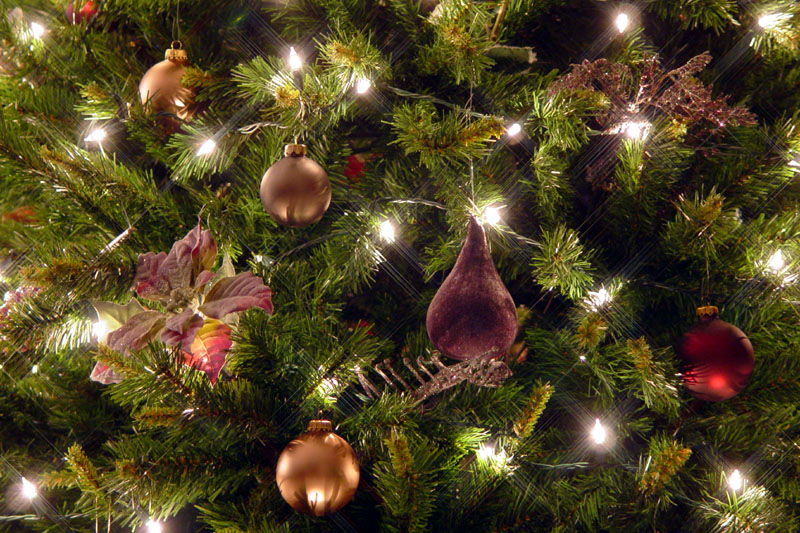 <b>Holiday Lights</b><br><font size=2>by Tim Lauro