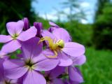 DSC02737.jpg