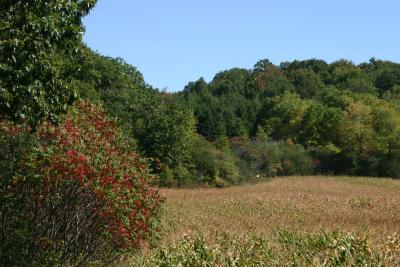 IMG_4511_1.JPG